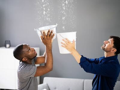 About North Lauderdale FL Mold Removal Pros - mold removal experts in North Lauderdale